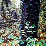 Sophienschloesschen Nahe Berlin - Exklusive Zeit Zwischen 5 Seen Mit Grosser Kueche, Gratis Sauna & 3500qm Garten * Marienwerder