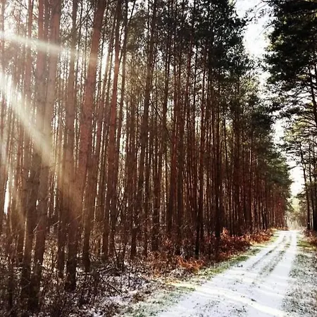 Dom wakacyjny Sophienschloesschen Nahe Berlin - Exklusive Zeit Zwischen 5 Seen Mit Grosser Kueche, Gratis Sauna & 3500qm Garten