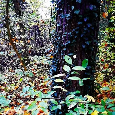 Sophienschloesschen Nahe Berlin - Exklusive Zeit Zwischen 5 Seen Mit Grosser Kueche, Gratis Sauna & 3500qm Garten * Marienwerder