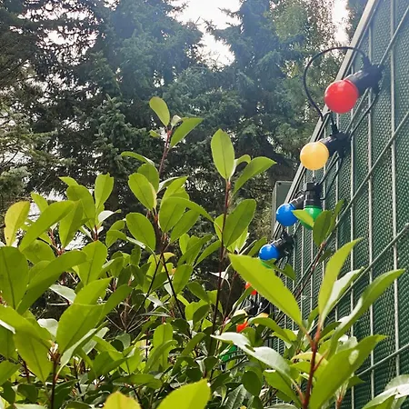 Sophienschloesschen Nahe Berlin - Exklusive Zeit Zwischen 5 Seen Mit Grosser Kueche, Gratis Sauna & 3500qm Garten بيت للعطل *
