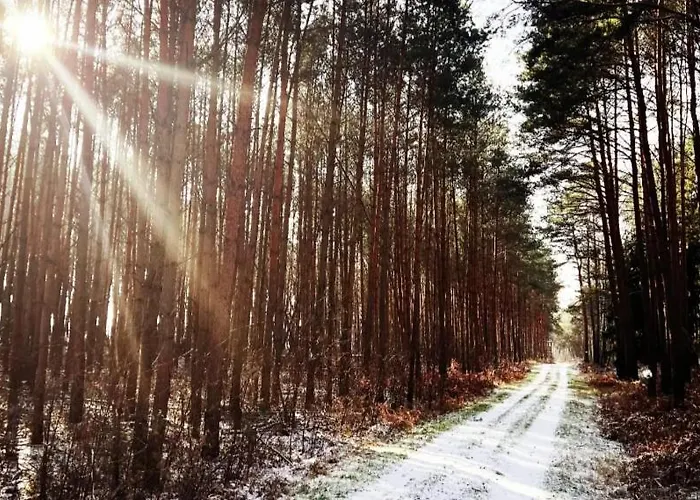 بيت للعطل Sophienschloesschen Nahe Berlin - Exklusive Zeit Zwischen 5 Seen Mit Grosser Kueche, Gratis Sauna & 3500qm Garten